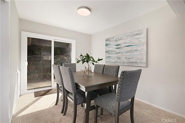 dining room featuring carpet floors