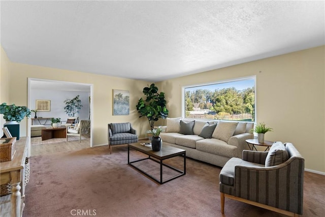 living room featuring carpet and a textured ceiling