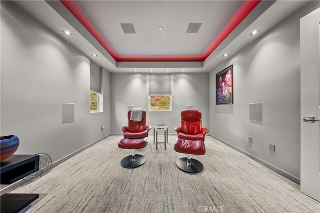 home theater featuring a raised ceiling