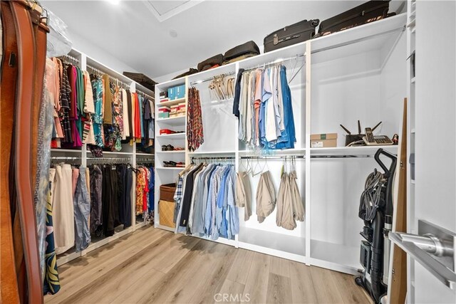 spacious closet with hardwood / wood-style flooring