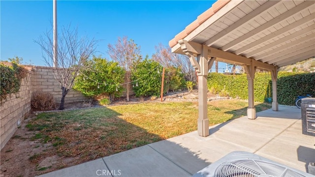 view of yard featuring a patio