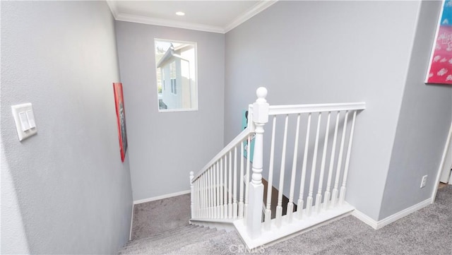 stairway featuring ornamental molding and carpet