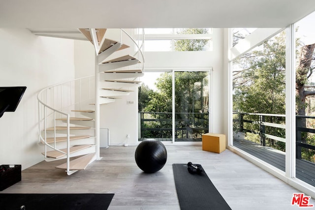 exercise area with hardwood / wood-style flooring and a healthy amount of sunlight