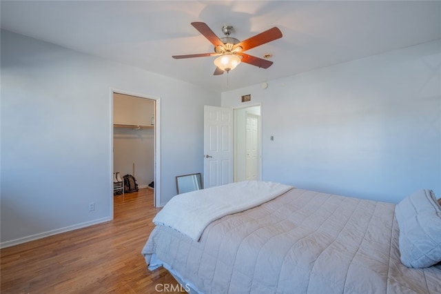 bedroom featuring a closet, ceiling fan, a spacious closet, and wood-type flooring