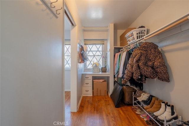 spacious closet featuring wood-type flooring