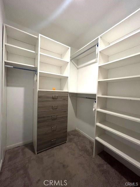 spacious closet with dark colored carpet