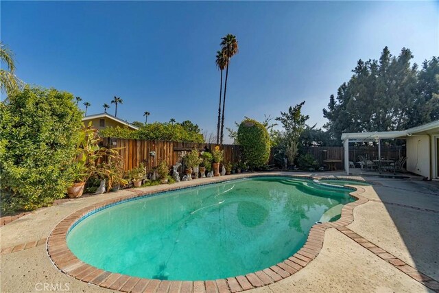 view of swimming pool with a patio