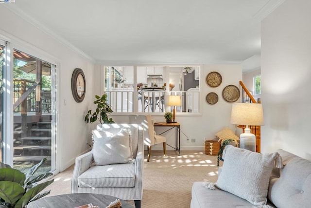 carpeted living room with a healthy amount of sunlight and ornamental molding