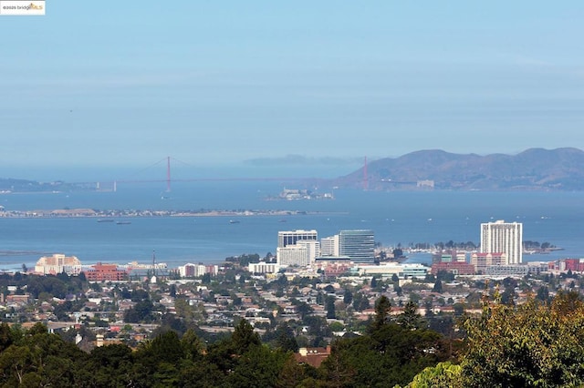 property view of water with a mountain view