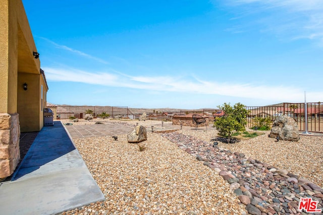 view of yard featuring a patio