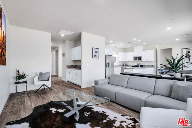 living room featuring wood-type flooring