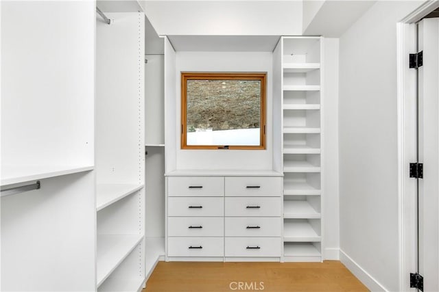 spacious closet featuring light hardwood / wood-style floors