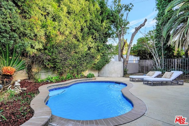 view of pool with a patio area