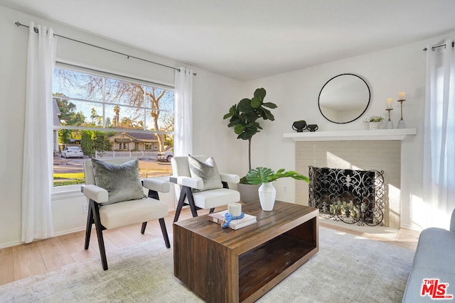 living room featuring light wood-type flooring and a fireplace