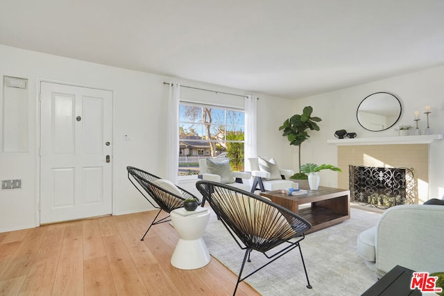 living room featuring a fireplace and light hardwood / wood-style floors