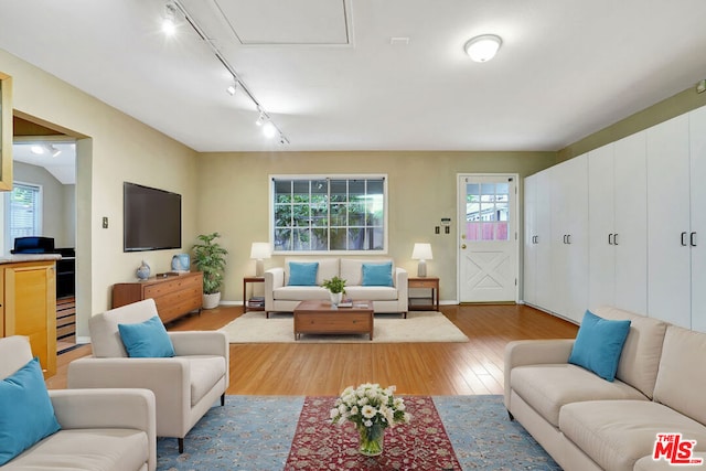 living room featuring plenty of natural light, light hardwood / wood-style floors, and track lighting