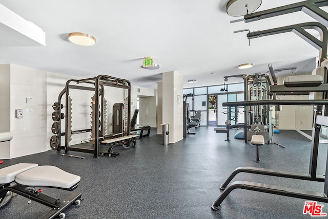 exercise room featuring expansive windows