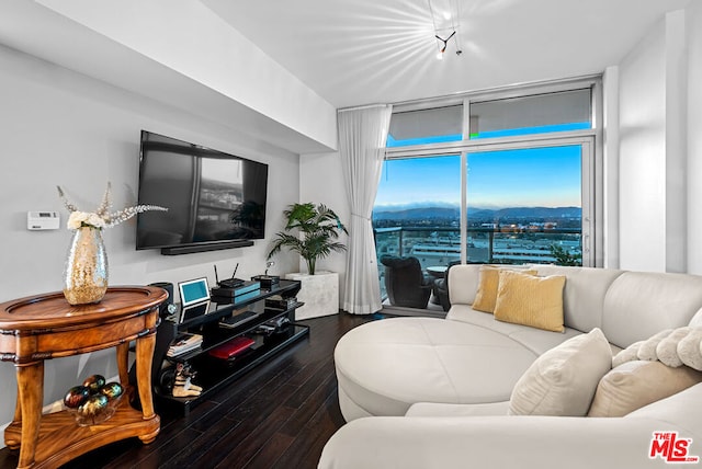 living room featuring floor to ceiling windows and dark hardwood / wood-style flooring