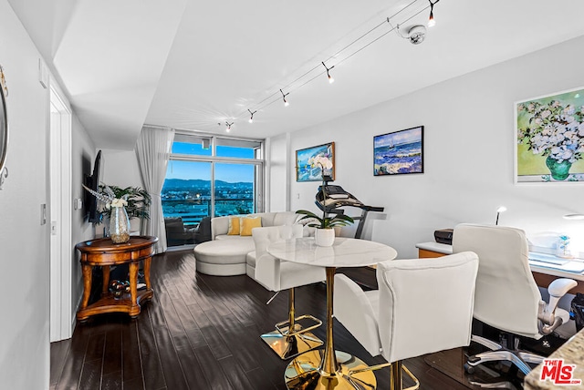 dining area featuring hardwood / wood-style flooring, track lighting, and floor to ceiling windows