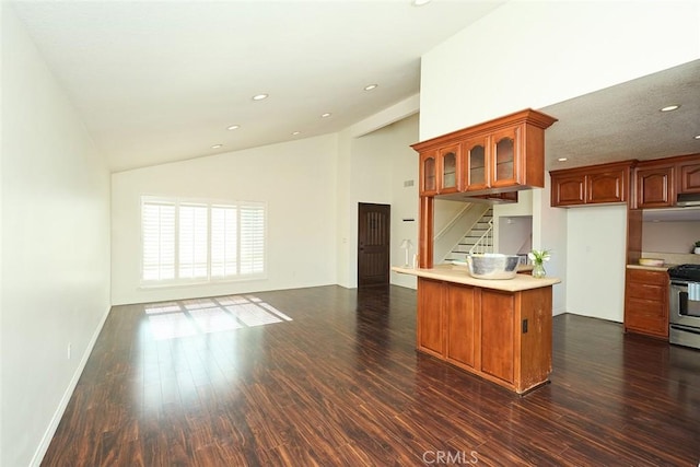 kitchen with dark hardwood / wood-style flooring, kitchen peninsula, stainless steel range, and lofted ceiling