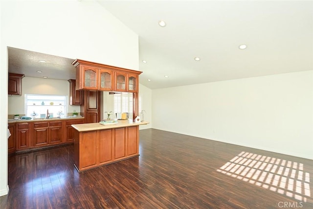 kitchen with sink, vaulted ceiling, a wealth of natural light, and dark hardwood / wood-style floors