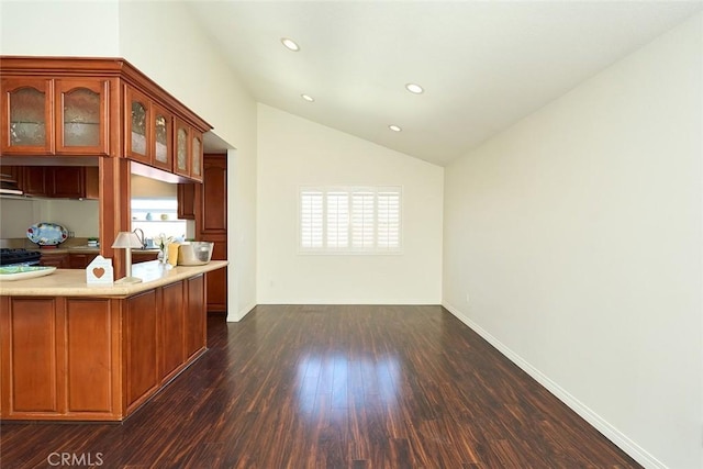 kitchen with dark hardwood / wood-style floors and lofted ceiling