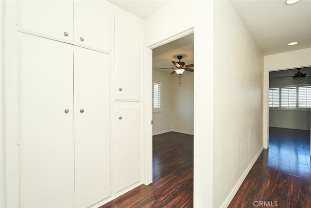 hallway featuring plenty of natural light and dark hardwood / wood-style flooring