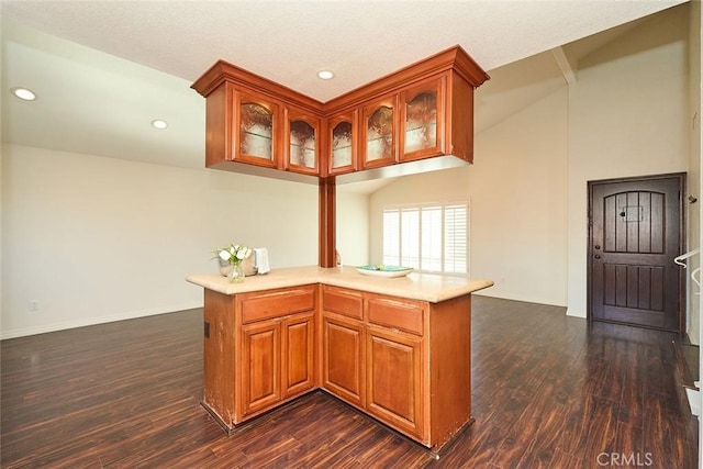 kitchen with dark hardwood / wood-style flooring