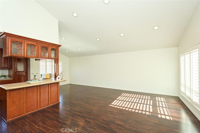 kitchen with dark hardwood / wood-style flooring, lofted ceiling, and a healthy amount of sunlight