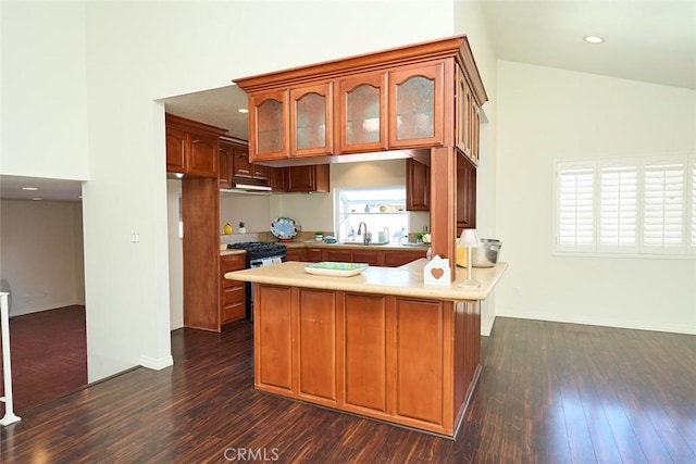 kitchen featuring sink, high vaulted ceiling, kitchen peninsula, and dark wood-type flooring