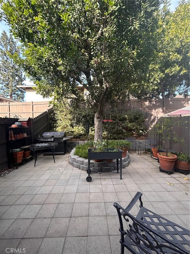 view of patio / terrace featuring area for grilling