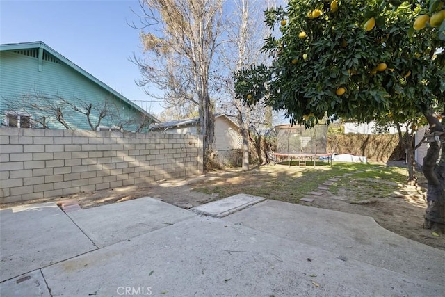 view of yard featuring a patio area and a trampoline