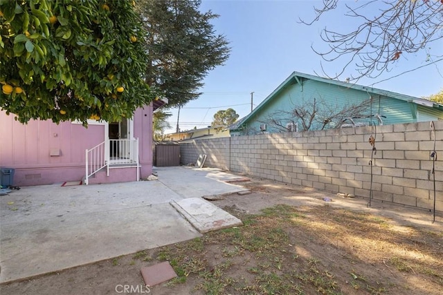 view of yard featuring a patio