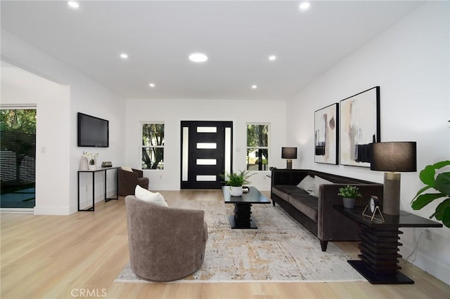 living room featuring light hardwood / wood-style floors