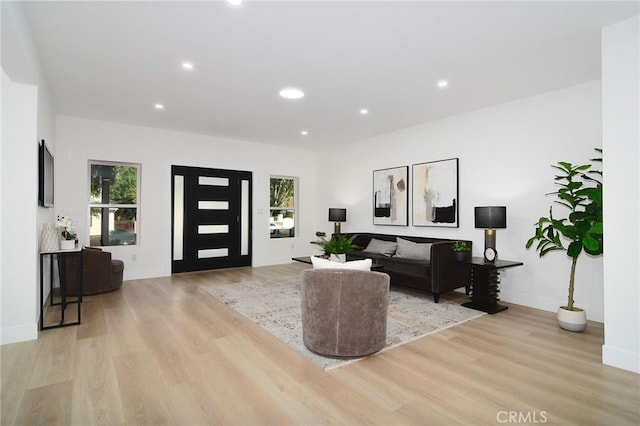 living room with light wood-type flooring and a healthy amount of sunlight