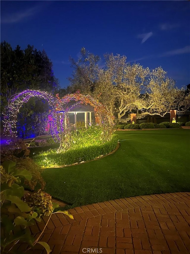 view of yard at night