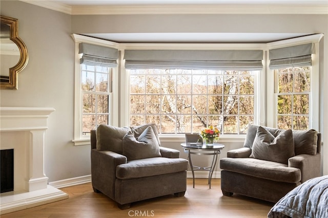 interior space featuring wood-type flooring and crown molding