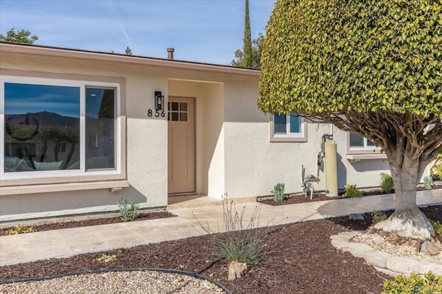 doorway to property featuring stucco siding