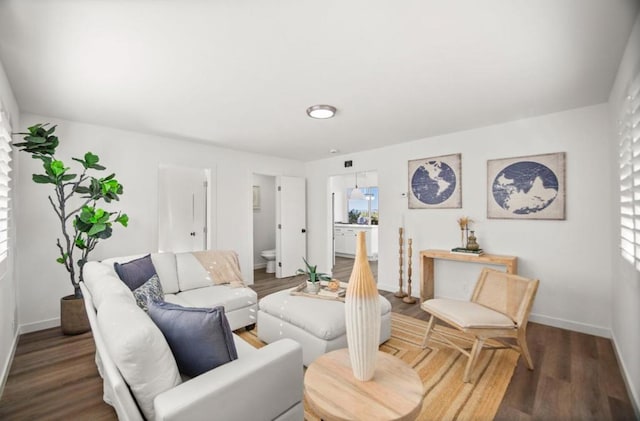 living room with dark hardwood / wood-style flooring