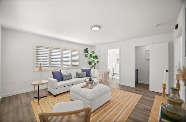 living room featuring wood-type flooring