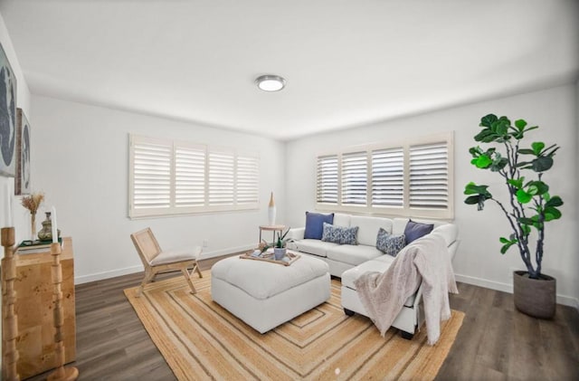 living room featuring dark wood-type flooring