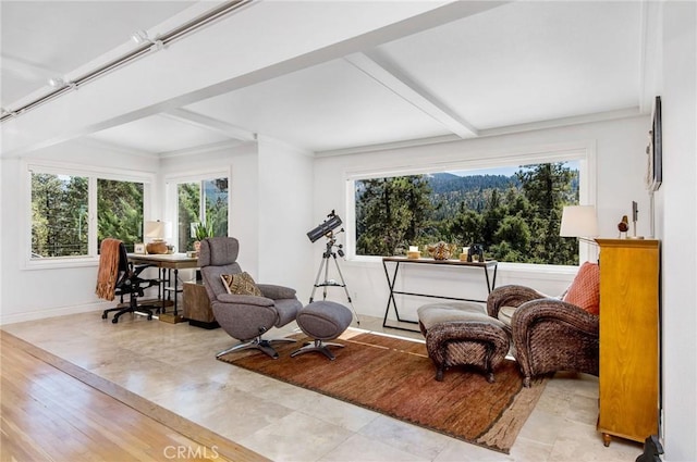 sitting room with a wealth of natural light and crown molding