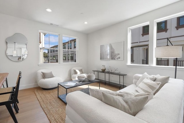 living room featuring hardwood / wood-style floors