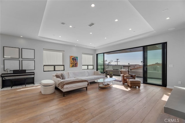 living room featuring light hardwood / wood-style floors and a raised ceiling