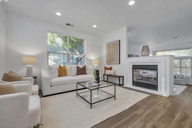 living room featuring hardwood / wood-style flooring and a multi sided fireplace