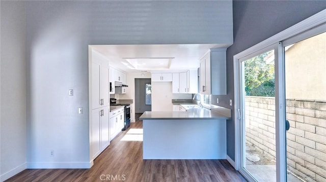 kitchen with stainless steel range oven, white cabinetry, dark hardwood / wood-style flooring, sink, and kitchen peninsula