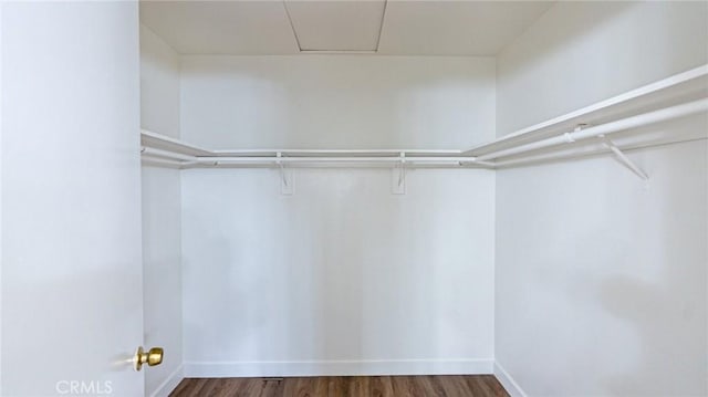 spacious closet featuring dark wood-type flooring