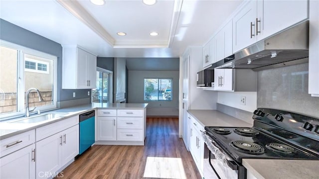 kitchen with white cabinetry, stainless steel dishwasher, sink, range with electric stovetop, and a tray ceiling