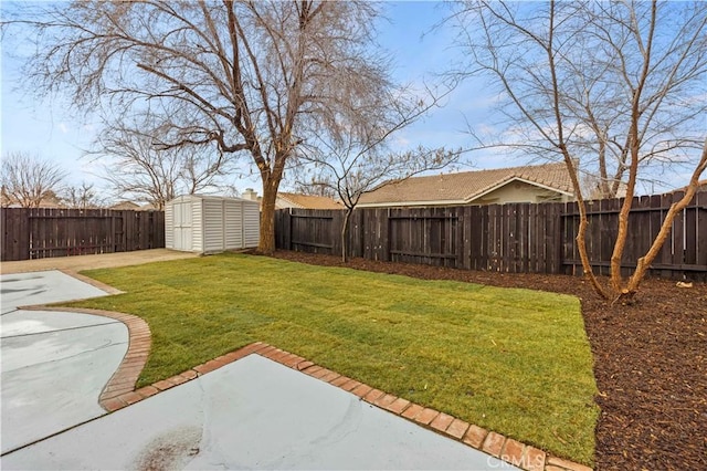 view of yard featuring a patio and a storage unit