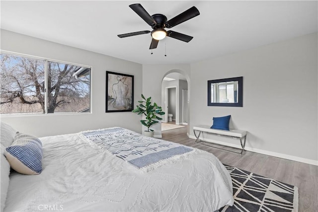 bedroom featuring multiple windows, hardwood / wood-style floors, and ceiling fan